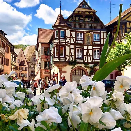 Du Bien-etre Apartment Kaysersberg-Vignoble